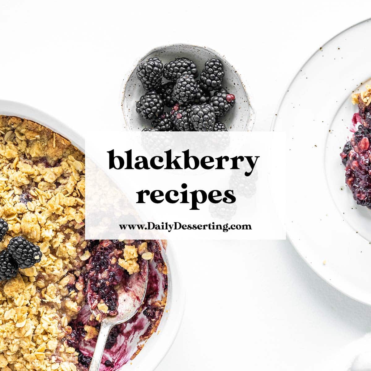 the best blackberry recipes featured image