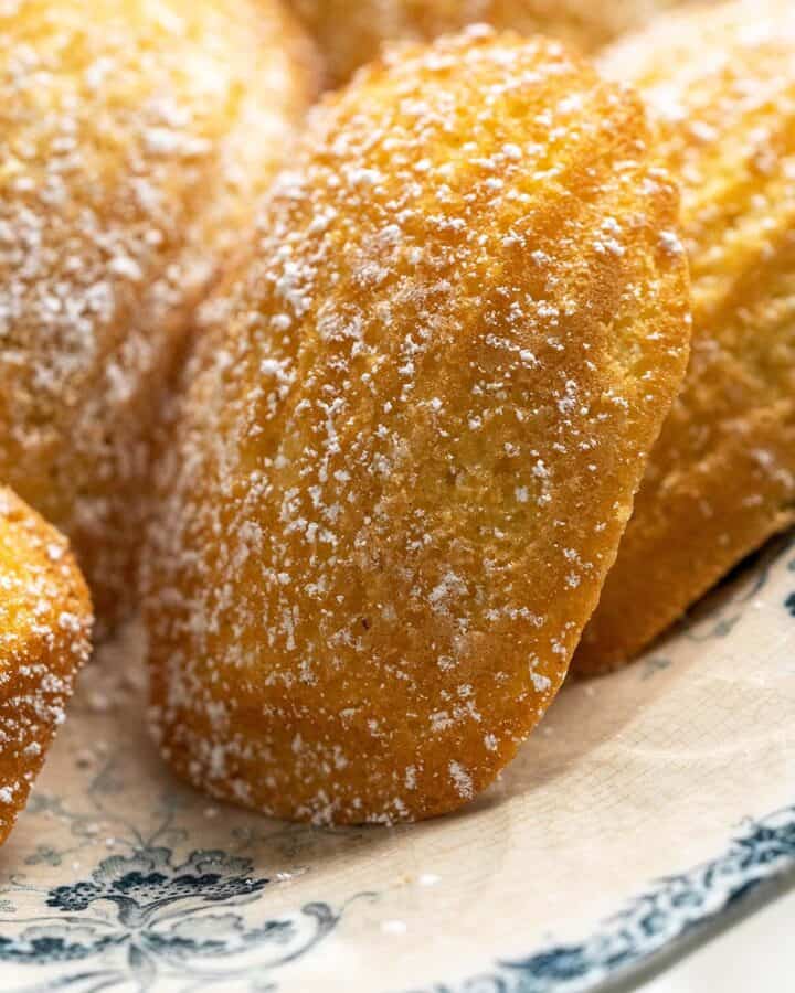 classic french madeleines featured image