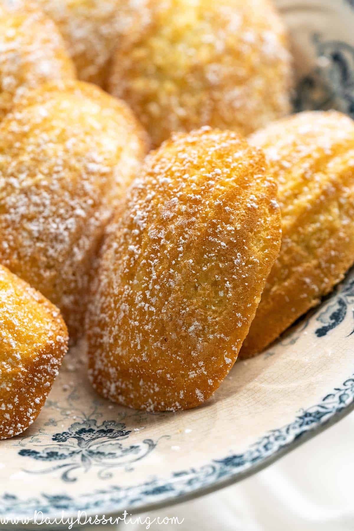 shell shaped traditional madeleines dusted wtih powdered sugar on french pastry platter
